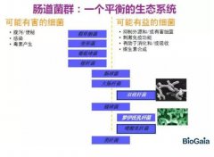 瑞典拜奧益生菌 第17屆CBME中國孕嬰童展、童裝展